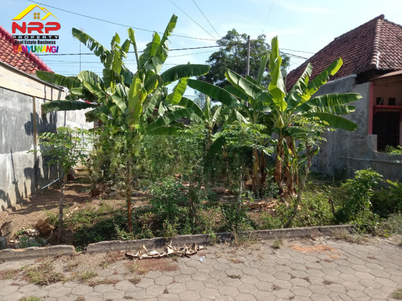 Dijual Tanah Kavling Murah di Depan SMAN 1 Glagah - Banyuwangi  Dijual Tanah Kavling Murah di Depan SMAN 1 Glagah - Banyuwangi  Dijual Tanah Kavling Murah di Depan SMAN 1 Glagah - Banyuwangi&nbsp;
Lokasi Sangat strategis berada dikawasan pendidikan ternama banyuwangi&nbsp;

Luas NRP BANYUWANGI