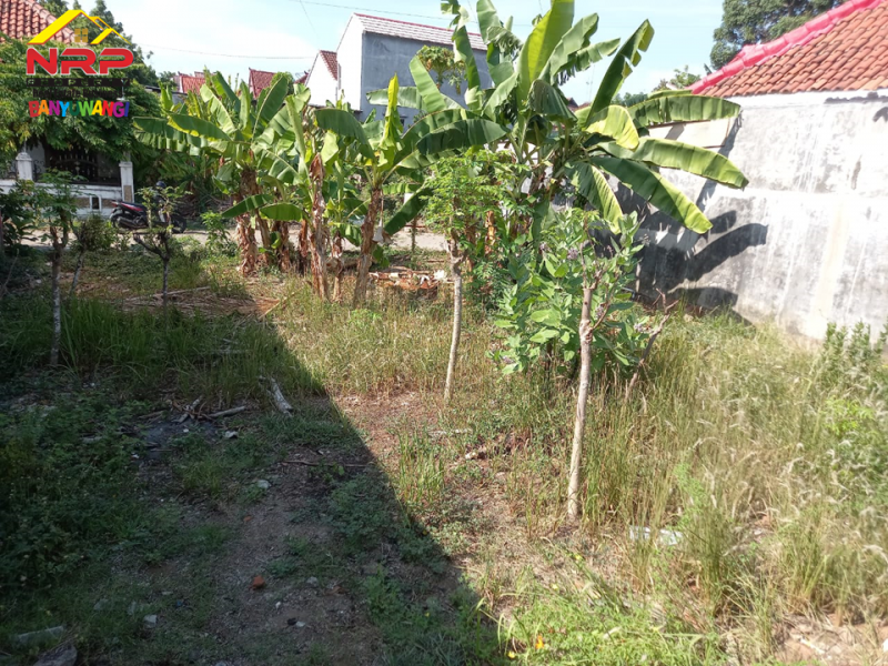 Dijual Tanah Kavling Murah di Depan SMAN 1 Glagah - Banyuwangi  Dijual Tanah Kavling Murah di Depan SMAN 1 Glagah - Banyuwangi  Dijual Tanah Kavling Murah di Depan SMAN 1 Glagah - Banyuwangi&nbsp;
Lokasi Sangat strategis berada dikawasan pendidikan ternama banyuwangi&nbsp;

Luas NRP BANYUWANGI