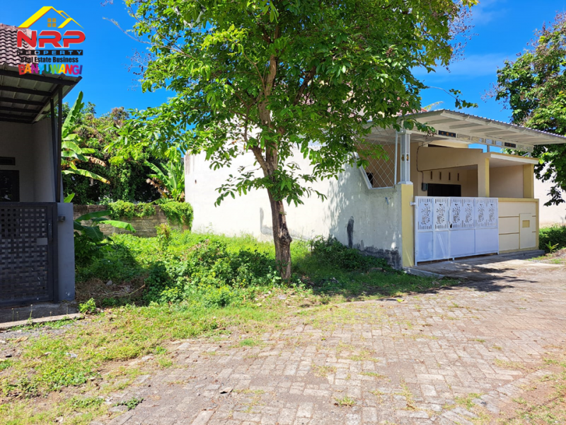 Dijual Tanah Kavling Murah di Perum. Kepiting Indah Raya - Banyuwangi  Dijual Tanah Kavling Murah di Perum. Kepiting Indah Raya - Banyuwangi  Dijual Tanah Kavling Murah di Perum. Kepiting Indah Raya - Banyuwangi&nbsp;
Tanah Strategis pusat kota dengan Akses JL. Utama Kepiting
Terletak di kawasan NRP BANYUWANGI