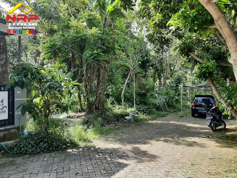 Dijual Tanah Kavling Murah Siap Bangun  di Perum. Pengantigan Indah Rogojampi - Banyuwangi Dijual Tanah Kavling Murah Siap Bangun  di Perum. Pengantigan Indah Rogojampi - Banyuwangi Dijual Tanah Kavling Murah Siap Bangun&nbsp; di Perum. Pengantigan Indah Rogojampi - Banyuwangi
Tanah Strategis dekat dengan fasilitas perbelanjaan dan pasar NRP BANYUWANGI
