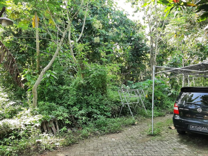 Dijual Tanah Kavling Murah Siap Bangun  di Perum. Pengantigan Indah Rogojampi - Banyuwangi Dijual Tanah Kavling Murah Siap Bangun  di Perum. Pengantigan Indah Rogojampi - Banyuwangi Dijual Tanah Kavling Murah Siap Bangun&nbsp; di Perum. Pengantigan Indah Rogojampi - Banyuwangi
Tanah Strategis dekat dengan fasilitas perbelanjaan dan pasar NRP BANYUWANGI
