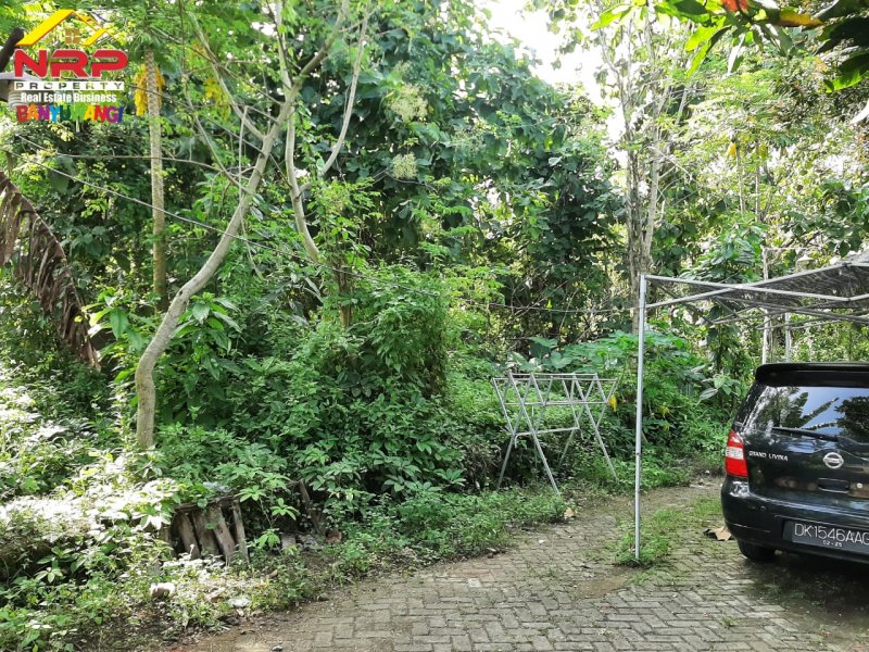 Dijual Tanah Kavling Murah Siap Bangun  di Perum. Pengantigan Indah Rogojampi - Banyuwangi Dijual Tanah Kavling Murah Siap Bangun  di Perum. Pengantigan Indah Rogojampi - Banyuwangi Dijual Tanah Kavling Murah Siap Bangun&nbsp; di Perum. Pengantigan Indah Rogojampi - Banyuwangi
Tanah Strategis dekat dengan fasilitas perbelanjaan dan pasar NRP BANYUWANGI