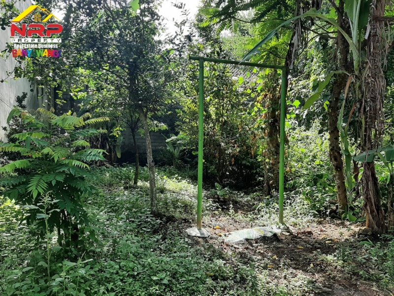 Dijual Tanah Kavling Murah Siap Bangun  di Perum. Pengantigan Indah Rogojampi - Banyuwangi Dijual Tanah Kavling Murah Siap Bangun  di Perum. Pengantigan Indah Rogojampi - Banyuwangi Dijual Tanah Kavling Murah Siap Bangun&nbsp; di Perum. Pengantigan Indah Rogojampi - Banyuwangi
Tanah Strategis dekat dengan fasilitas perbelanjaan dan pasar NRP BANYUWANGI
