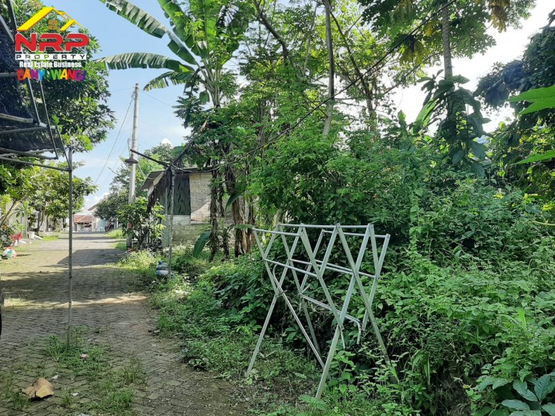 Dijual Tanah Kavling Murah Siap Bangun  di Perum. Pengantigan Indah Rogojampi - Banyuwangi Dijual Tanah Kavling Murah Siap Bangun  di Perum. Pengantigan Indah Rogojampi - Banyuwangi Dijual Tanah Kavling Murah Siap Bangun&nbsp; di Perum. Pengantigan Indah Rogojampi - Banyuwangi
Tanah Strategis dekat dengan fasilitas perbelanjaan dan pasar NRP BANYUWANGI