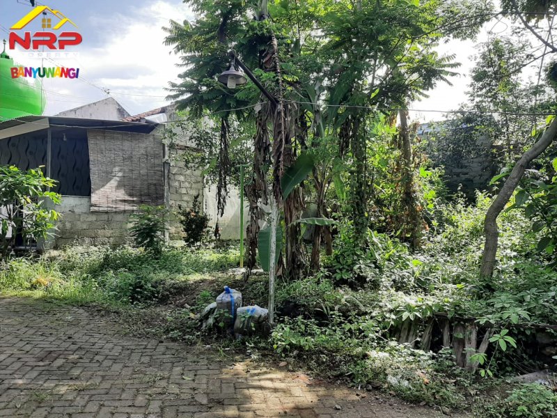 Dijual Tanah Kavling Murah Siap Bangun  di Perum. Pengantigan Indah Rogojampi - Banyuwangi Dijual Tanah Kavling Murah Siap Bangun  di Perum. Pengantigan Indah Rogojampi - Banyuwangi Dijual Tanah Kavling Murah Siap Bangun&nbsp; di Perum. Pengantigan Indah Rogojampi - Banyuwangi
Tanah Strategis dekat dengan fasilitas perbelanjaan dan pasar NRP BANYUWANGI