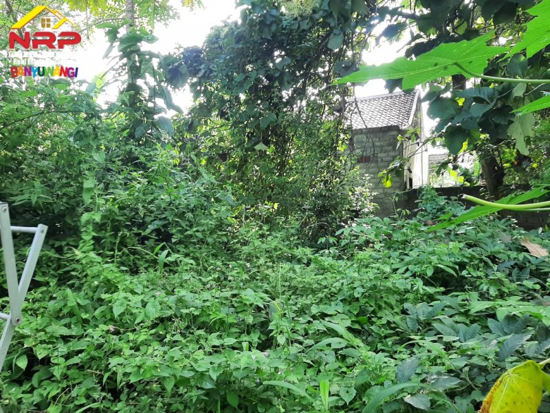 Dijual Tanah Kavling Murah Siap Bangun  di Perum. Pengantigan Indah Rogojampi - Banyuwangi Dijual Tanah Kavling Murah Siap Bangun  di Perum. Pengantigan Indah Rogojampi - Banyuwangi Dijual Tanah Kavling Murah Siap Bangun&nbsp; di Perum. Pengantigan Indah Rogojampi - Banyuwangi
Tanah Strategis dekat dengan fasilitas perbelanjaan dan pasar NRP BANYUWANGI