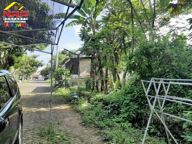 Dijual Tanah Kavling Murah Siap Bangun  di Perum. Pengantigan Indah Rogojampi - Banyuwangi Dijual Tanah Kavling Murah Siap Bangun  di Perum. Pengantigan Indah Rogojampi - Banyuwangi Dijual Tanah Kavling Murah Siap Bangun&nbsp; di Perum. Pengantigan Indah Rogojampi - Banyuwangi
Tanah Strategis dekat dengan fasilitas perbelanjaan dan pasar NRP BANYUWANGI