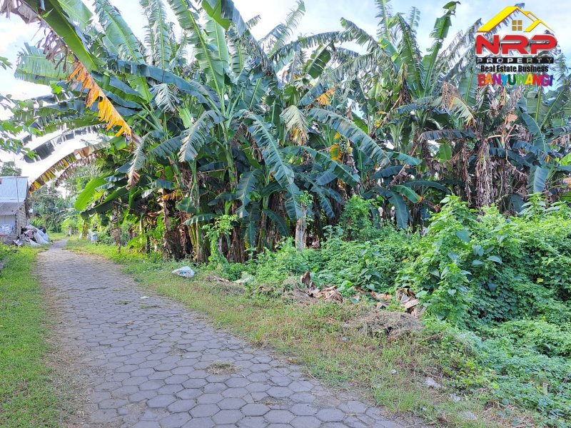Dijual Tanah Kavling Murah Siap Bangun  di Sukowidi - Banyuwangi Dijual Tanah Kavling Murah Siap Bangun  di Sukowidi - Banyuwangi Dijual Tanah Kavling Murah Siap Bangun&nbsp; di Sukowidi - Banyuwangi
Lokasi sangat Cocok untun Investasi dan di Bangun Hunian

Luas Tanah 208 M2 NRP BANYUWANGI