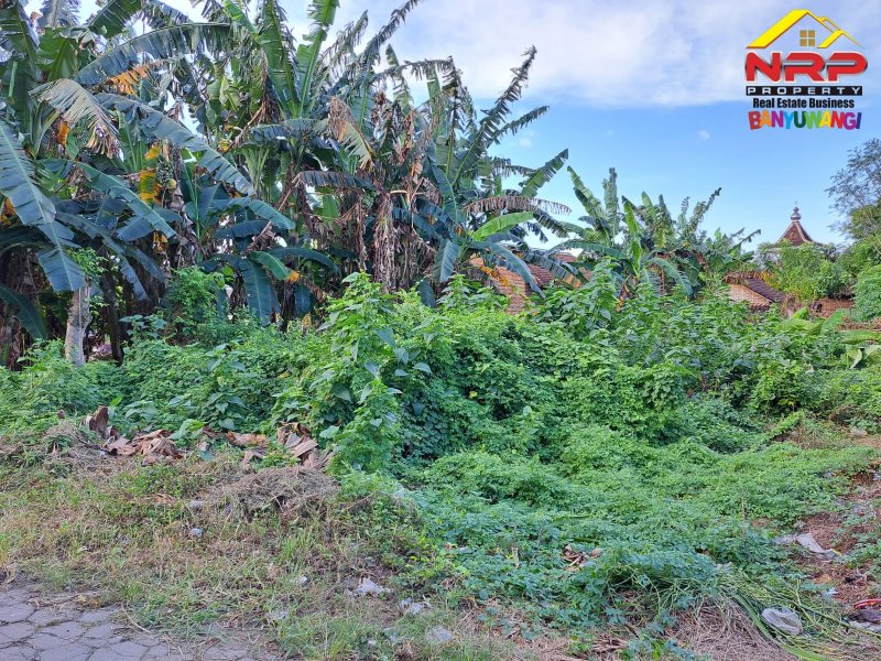 Dijual Tanah Kavling Murah Siap Bangun  di Sukowidi - Banyuwangi Dijual Tanah Kavling Murah Siap Bangun  di Sukowidi - Banyuwangi Dijual Tanah Kavling Murah Siap Bangun&nbsp; di Sukowidi - Banyuwangi
Lokasi sangat Cocok untun Investasi dan di Bangun Hunian

Luas Tanah 208 M2 NRP BANYUWANGI