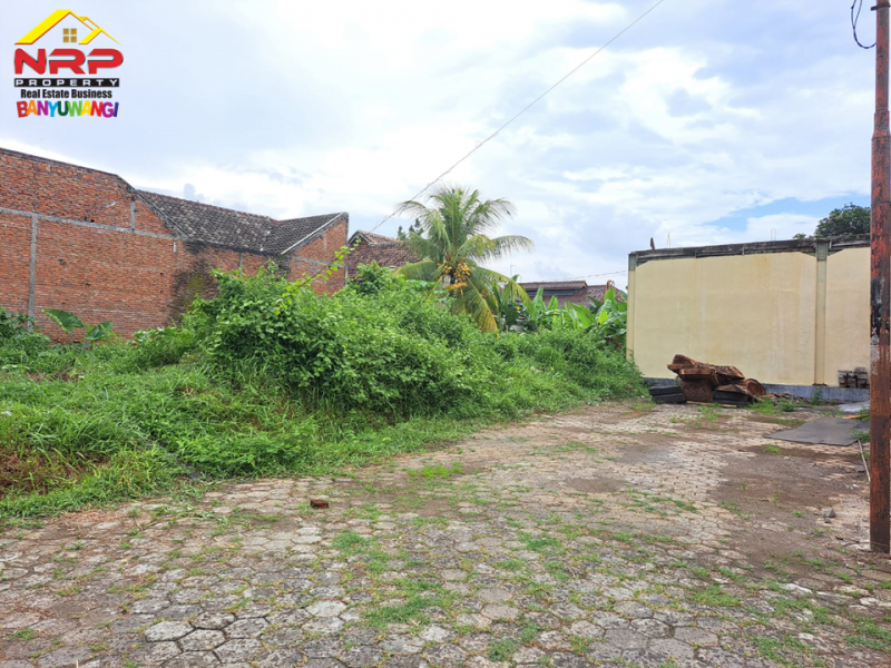 Dijual Tanah Kavling Murah Strategis di Belakang Santika Hotel Banyuwangi  Dijual Tanah Kavling Murah  Strategis di Belakang Santika Hotel Banyuwangi  Dijual Tanah Kavling Strategis di Belakang Santika Hotel Banyuwangi&nbsp;
Berada di Pusat Kota Banyuwangi.Cocok untuk hunian, homestay, dll&nbsp;
Dekat NRP BANYUWANGI