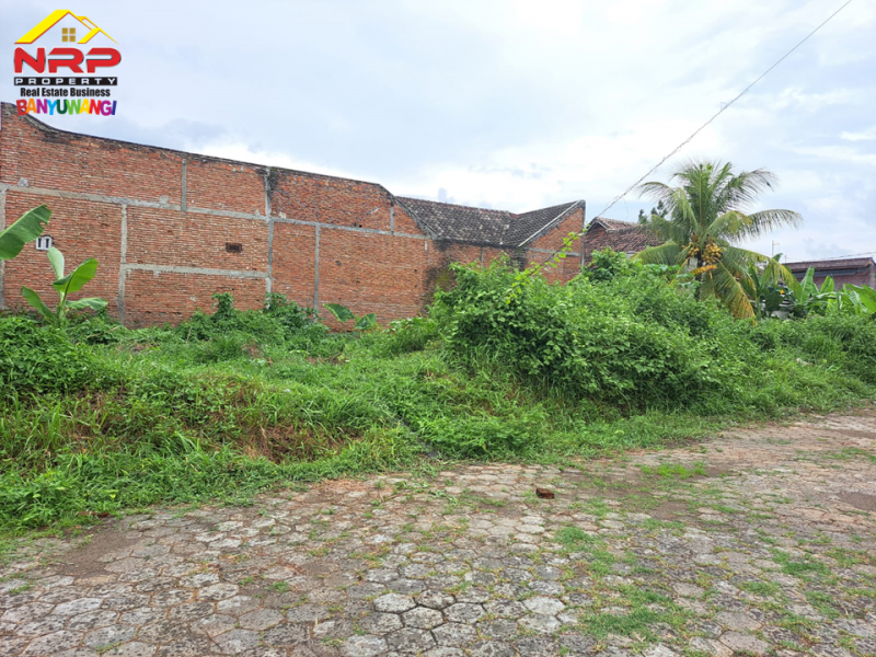 Dijual Tanah Kavling Murah Strategis di Belakang Santika Hotel Banyuwangi  Dijual Tanah Kavling Murah  Strategis di Belakang Santika Hotel Banyuwangi  Dijual Tanah Kavling Strategis di Belakang Santika Hotel Banyuwangi&nbsp;
Berada di Pusat Kota Banyuwangi.Cocok untuk hunian, homestay, dll&nbsp;
Dekat NRP BANYUWANGI