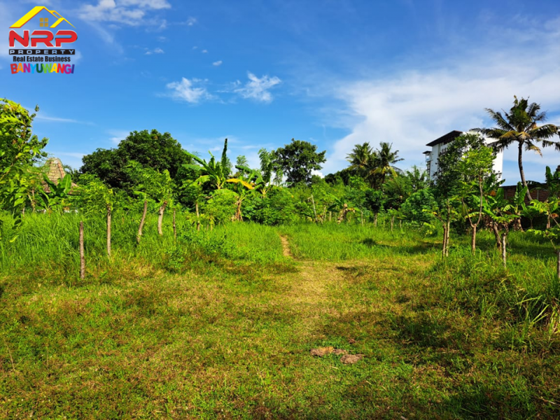 Dijual Tanah Kavling Prospek di Belakang Hotel Illira - Banyuwangi Dijual Tanah Kavling Prospek di Belakang Hotel Illira - Banyuwangi Dijual Tanah Kavling Prospek di Belakang Hotel Illira - Banyuwangi
Akses Jalan Utama dari Jl. YOS SUDARSO&nbsp;
Cocok Untuk Investasi maupun hunian

Luas NRP BANYUWANGI