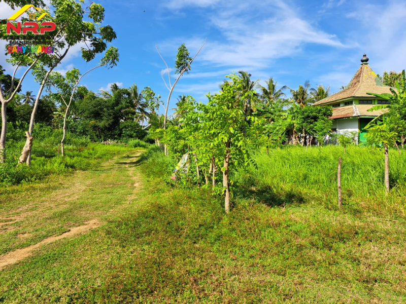 Dijual Tanah Kavling Prospek di Belakang Hotel Illira - Banyuwangi Dijual Tanah Kavling Prospek di Belakang Hotel Illira - Banyuwangi Dijual Tanah Kavling Prospek di Belakang Hotel Illira - Banyuwangi
Akses Jalan Utama dari Jl. YOS SUDARSO&nbsp;
Cocok Untuk Investasi maupun hunian

Luas NRP BANYUWANGI