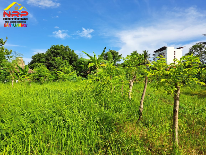 Dijual Tanah Kavling Prospek di Belakang Hotel Illira - Banyuwangi Dijual Tanah Kavling Prospek di Belakang Hotel Illira - Banyuwangi Dijual Tanah Kavling Prospek di Belakang Hotel Illira - Banyuwangi
Akses Jalan Utama dari Jl. YOS SUDARSO&nbsp;
Cocok Untuk Investasi maupun hunian

Luas NRP BANYUWANGI