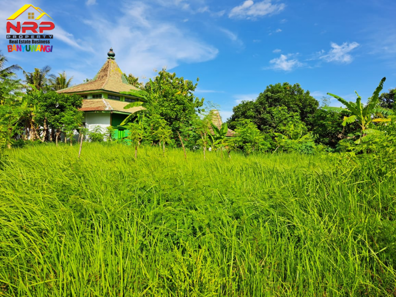 Dijual Tanah Kavling Prospek di Belakang Hotel Illira - Banyuwangi Dijual Tanah Kavling Prospek di Belakang Hotel Illira - Banyuwangi Dijual Tanah Kavling Prospek di Belakang Hotel Illira - Banyuwangi
Akses Jalan Utama dari Jl. YOS SUDARSO&nbsp;
Cocok Untuk Investasi maupun hunian

Luas NRP BANYUWANGI