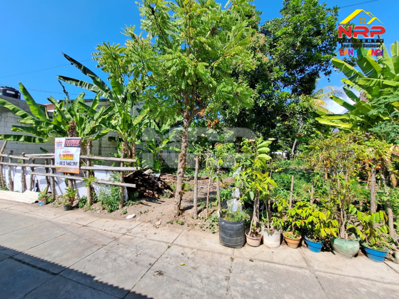 Dijual Tanah Kavling Siap Bangun 100 Meter dari Kantor Bupati Banyuwangi  Dijual Tanah Kavling Siap Bangun 100 Meter dari Kantor Bupati Banyuwangi  Dijual Tanah Kavling Siap Bangun 100 Meter dari Kantor Bupati Banyuwangi&nbsp;
Lingkungan strategis , Berada di Pusat Perkantoran dan Perbelanjaan NRP BANYUWANGI