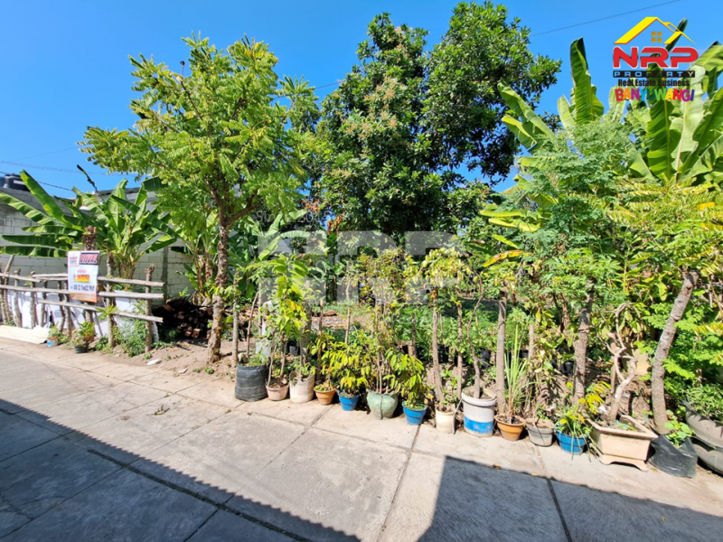 Dijual Tanah Kavling Siap Bangun 100 Meter dari Kantor Bupati Banyuwangi  Dijual Tanah Kavling Siap Bangun 100 Meter dari Kantor Bupati Banyuwangi  Dijual Tanah Kavling Siap Bangun 100 Meter dari Kantor Bupati Banyuwangi&nbsp;
Lingkungan strategis , Berada di Pusat Perkantoran dan Perbelanjaan NRP BANYUWANGI