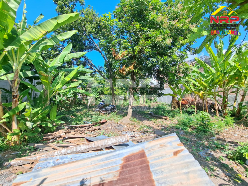 Dijual Tanah Kavling Siap Bangun 100 Meter dari Kantor Bupati Banyuwangi  Dijual Tanah Kavling Siap Bangun 100 Meter dari Kantor Bupati Banyuwangi  Dijual Tanah Kavling Siap Bangun 100 Meter dari Kantor Bupati Banyuwangi&nbsp;
Lingkungan strategis , Berada di Pusat Perkantoran dan Perbelanjaan NRP BANYUWANGI