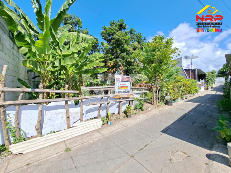 Dijual Tanah Kavling Siap Bangun 100 Meter dari Kantor Bupati Banyuwangi  Dijual Tanah Kavling Siap Bangun 100 Meter dari Kantor Bupati Banyuwangi  Dijual Tanah Kavling Siap Bangun 100 Meter dari Kantor Bupati Banyuwangi&nbsp;
Lingkungan strategis , Berada di Pusat Perkantoran dan Perbelanjaan NRP BANYUWANGI