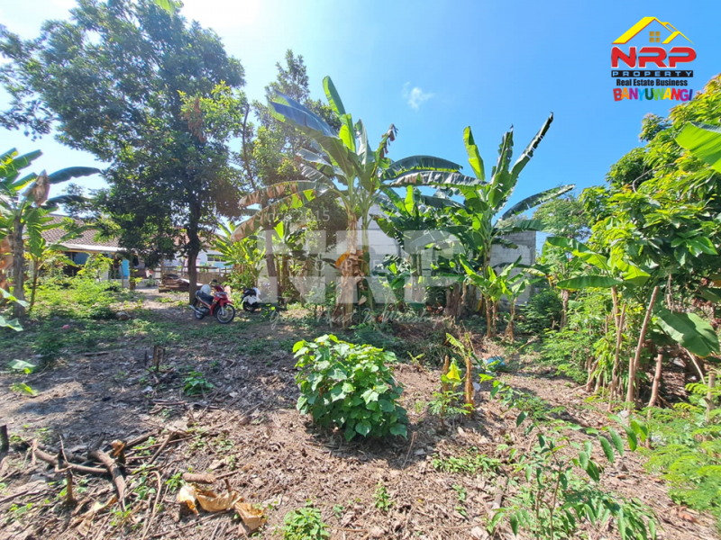 Dijual Tanah Kavling Siap Bangun 100 Meter dari Kantor Bupati Banyuwangi  Dijual Tanah Kavling Siap Bangun 100 Meter dari Kantor Bupati Banyuwangi  Dijual Tanah Kavling Siap Bangun 100 Meter dari Kantor Bupati Banyuwangi&nbsp;
Lingkungan strategis , Berada di Pusat Perkantoran dan Perbelanjaan NRP BANYUWANGI