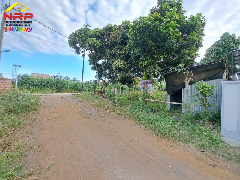Dijual Tanah Kavling Siap Bangun di Belakang SMAN 1 BANYUWANGI  Dijual Tanah Kavling Siap Bangun di Belakang SMAN 1 BANYUWANGI  Dijual Tanah Kavling Siap Bangun di Belakang SMAN 1 BANYUWANGI&nbsp;
Lokasi Padat Penduduk, Cocok untuk rumah kos, homestay ataupun tempat NRP BANYUWANGI