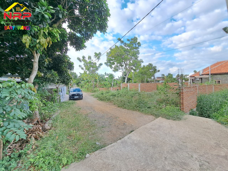 Dijual Tanah Kavling Siap Bangun di Belakang SMAN 1 BANYUWANGI  Dijual Tanah Kavling Siap Bangun di Belakang SMAN 1 BANYUWANGI  Dijual Tanah Kavling Siap Bangun di Belakang SMAN 1 BANYUWANGI&nbsp;
Lokasi Padat Penduduk, Cocok untuk rumah kos, homestay ataupun tempat NRP BANYUWANGI