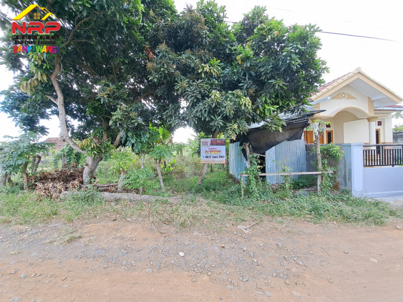 Dijual Tanah Kavling Siap Bangun di Belakang SMAN 1 BANYUWANGI  Dijual Tanah Kavling Siap Bangun di Belakang SMAN 1 BANYUWANGI  Dijual Tanah Kavling Siap Bangun di Belakang SMAN 1 BANYUWANGI&nbsp;
Lokasi Padat Penduduk, Cocok untuk rumah kos, homestay ataupun tempat NRP BANYUWANGI
