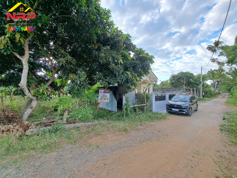 Dijual Tanah Kavling Siap Bangun di Belakang SMAN 1 BANYUWANGI  Dijual Tanah Kavling Siap Bangun di Belakang SMAN 1 BANYUWANGI  Dijual Tanah Kavling Siap Bangun di Belakang SMAN 1 BANYUWANGI&nbsp;
Lokasi Padat Penduduk, Cocok untuk rumah kos, homestay ataupun tempat NRP BANYUWANGI