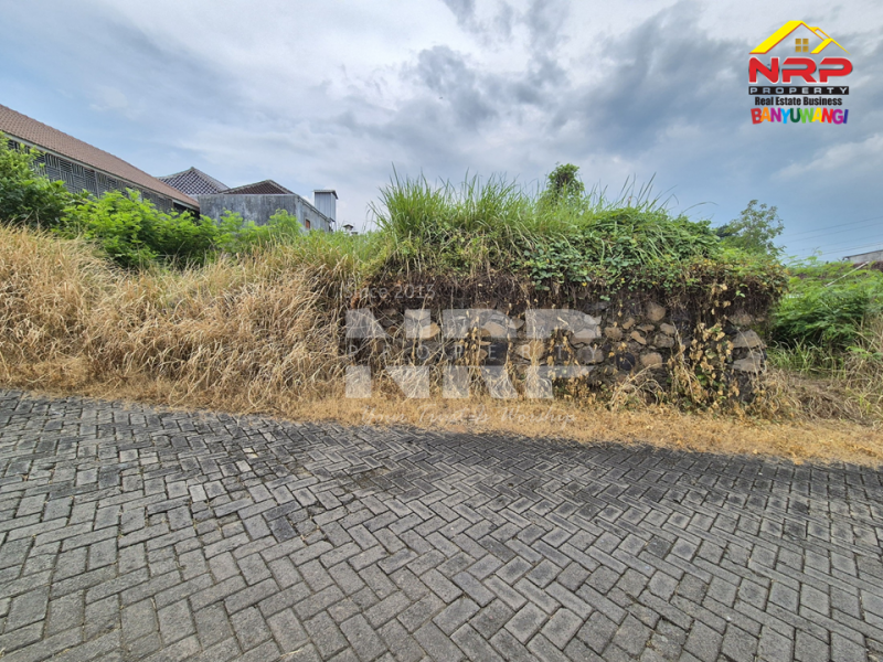 Dijual Tanah Kavling Siap Bangun di Perum. Griya Dadapan Indah Banyuwangi  Dijual Tanah Kavling Siap Bangun di Perum. Griya Dadapan Indah Banyuwangi  Dijual Tanah Kavling Siap Bangun di Perum. Griya Dadapan Indah Banyuwangi&nbsp;
Lokasi Sangat Strategis Dekat dengan Banyuwangi Park dan Fasilitas Pendidikan NRP BANYUWANGI