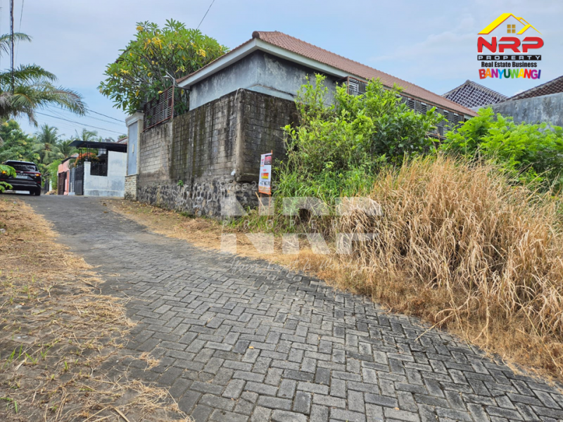 Dijual Tanah Kavling Siap Bangun di Perum. Griya Dadapan Indah Banyuwangi  Dijual Tanah Kavling Siap Bangun di Perum. Griya Dadapan Indah Banyuwangi  Dijual Tanah Kavling Siap Bangun di Perum. Griya Dadapan Indah Banyuwangi&nbsp;
Lokasi Sangat Strategis Dekat dengan Banyuwangi Park dan Fasilitas Pendidikan NRP BANYUWANGI