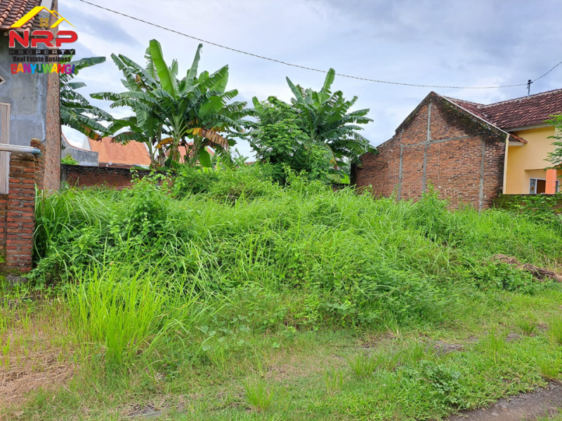 Dijual Tanah Kavling Siap Bangung di Jalan Ikan Wijinongko, Banyuwangi  Dijual Tanah Kavling Siap Bangung di Jalan Ikan Wijinongko, Banyuwangi  Dijual Tanah Kavling Siap Bangung di Jalan Ikan Wijinongko, Banyuwangi
Lokasi nyaman dan cocok untuk tempat tinggal, padat penduduk.
Dekat Fasilitas NRP BANYUWANGI