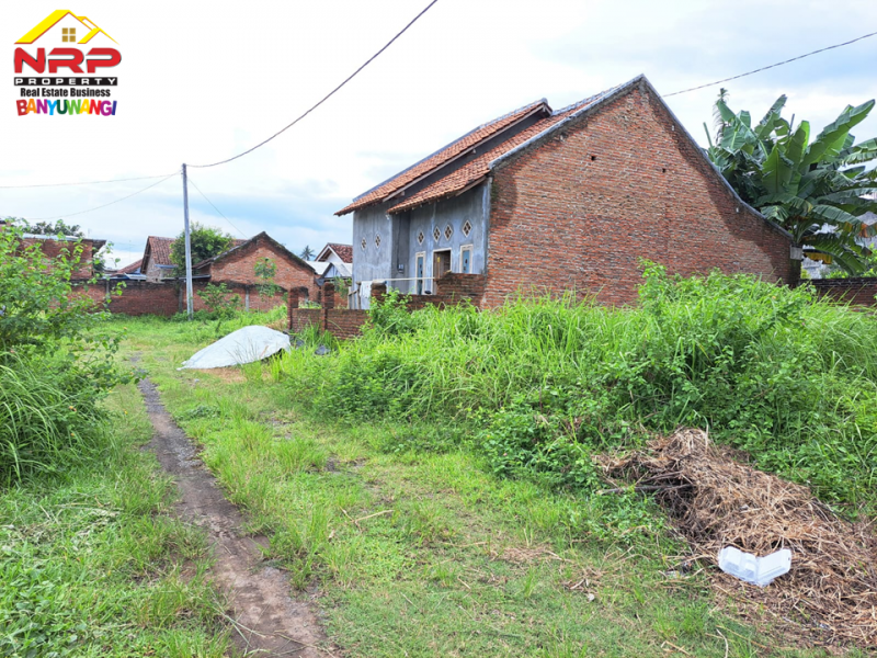 Dijual Tanah Kavling Siap Bangung di Jalan Ikan Wijinongko, Banyuwangi  Dijual Tanah Kavling Siap Bangung di Jalan Ikan Wijinongko, Banyuwangi  Dijual Tanah Kavling Siap Bangung di Jalan Ikan Wijinongko, Banyuwangi
Lokasi nyaman dan cocok untuk tempat tinggal, padat penduduk.
Dekat Fasilitas NRP BANYUWANGI