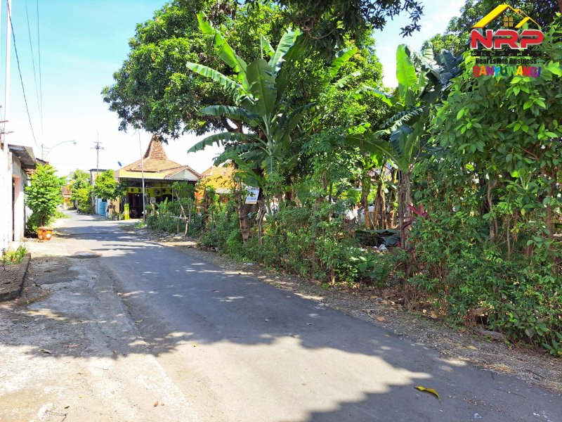 Dijual Tanah Kavling Strategis 50 Meter dari Jl. Kepiting - Bwi Dijual Tanah Kavling Strategis 50 Meter dari Jl. Kepiting - Bwi Dijual Tanah Kavling Strategis 50 Meter dari Jl. Kepiting - Bwi
Cocok untuk Kos - Kosan, Homestay, ruang usaha lainnya.Sangat cocok untuk investasi pasive NRP BANYUWANGI