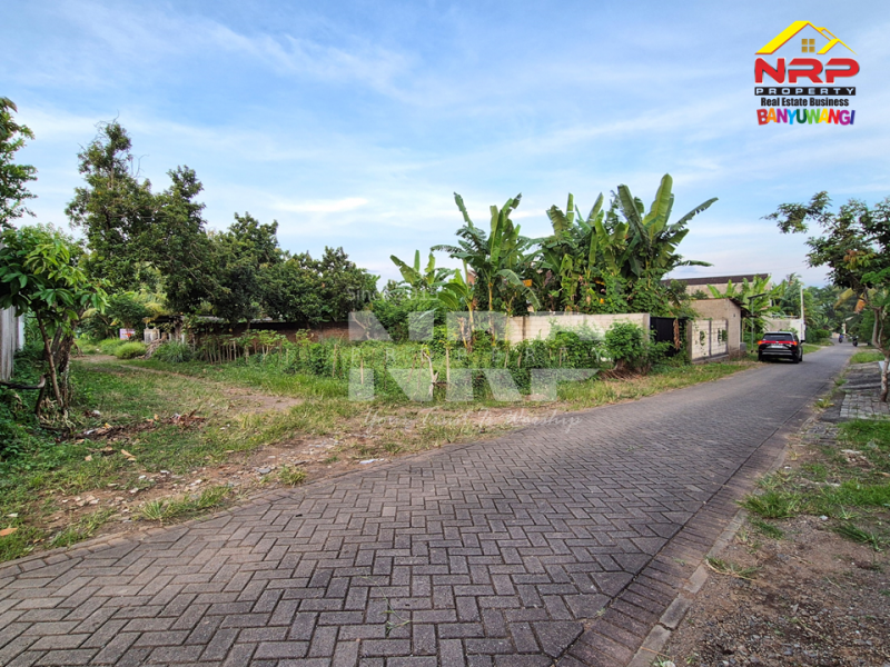 Dijual Tanah Kavling Strategis Cocok Untuk Investasi Dekat Banyuwangi Park  Dijual Tanah Kavling Strategis Cocok Untuk Investasi Dekat Banyuwangi Park  Dijual Tanah Kavling Strategis Cocok Untuk Investasi Dekat Banyuwangi Park&nbsp;
Lokasi Strategis, Nyaman dan Asri dengan Akses jalan Aspal 100 Meter dari Jl. NRP BANYUWANGI