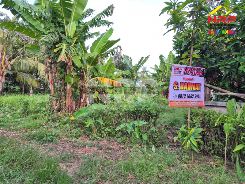 Dijual Tanah Kavling Strategis Cocok Untuk Investasi Dekat Banyuwangi Park  Dijual Tanah Kavling Strategis Cocok Untuk Investasi Dekat Banyuwangi Park  Dijual Tanah Kavling Strategis Cocok Untuk Investasi Dekat Banyuwangi Park&nbsp;
Lokasi Strategis, Nyaman dan Asri dengan Akses jalan Aspal 100 Meter dari Jl. NRP BANYUWANGI