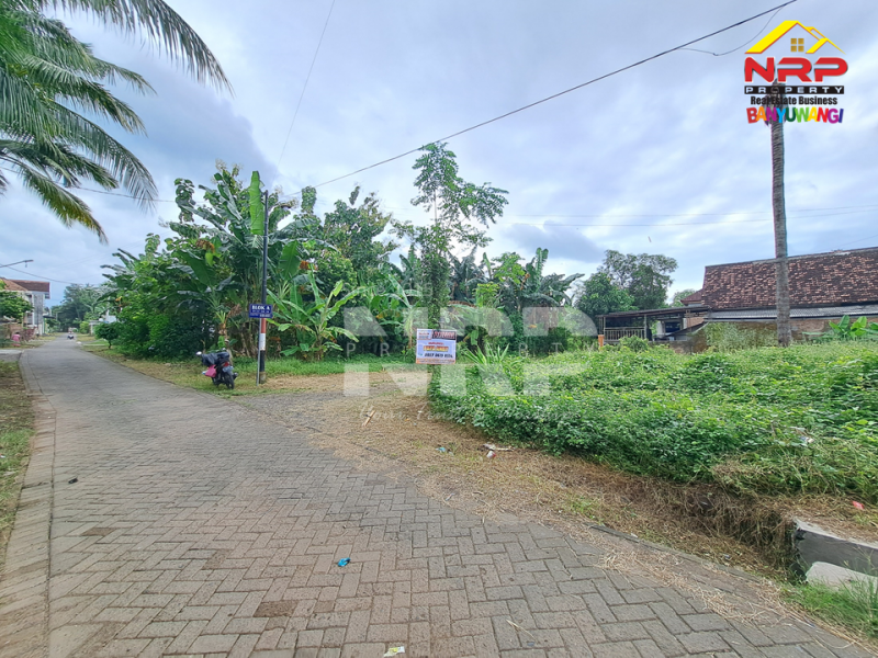 Dijual Tanah Kavling Strategis Cocok Untuk Investasi di Depan RTH Kedayunan.  Dijual Tanah Murah di Banyuwangi Kedayunan  Dijual Tanah Kavling Strategis Cocok Untuk Investasi di Depan RTH Kedayunan.&nbsp;
Lokasi Strategis, Nyaman dan Asri dengan Akses jalan Aspal 40 Meter dari NRP BANYUWANGI