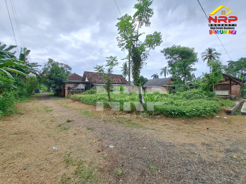 Dijual Tanah Kavling Strategis Cocok Untuk Investasi di Depan RTH Kedayunan.  Dijual Tanah Murah di Banyuwangi Kedayunan  Dijual Tanah Kavling Strategis Cocok Untuk Investasi di Depan RTH Kedayunan.&nbsp;
Lokasi Strategis, Nyaman dan Asri dengan Akses jalan Aspal 40 Meter dari NRP BANYUWANGI