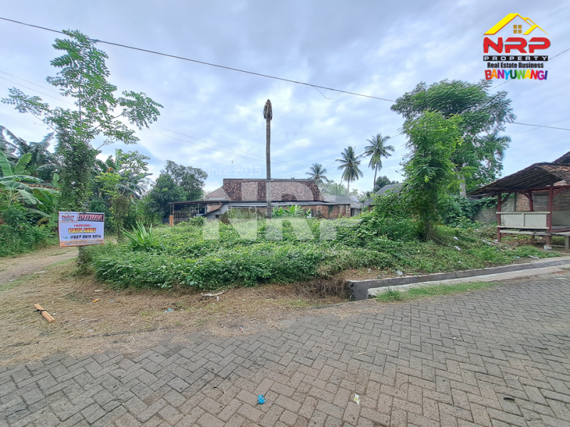 Dijual Tanah Kavling Strategis Cocok Untuk Investasi di Depan RTH Kedayunan.  Dijual Tanah Murah di Banyuwangi Kedayunan  Dijual Tanah Kavling Strategis Cocok Untuk Investasi di Depan RTH Kedayunan.&nbsp;
Lokasi Strategis, Nyaman dan Asri dengan Akses jalan Aspal 40 Meter dari NRP BANYUWANGI