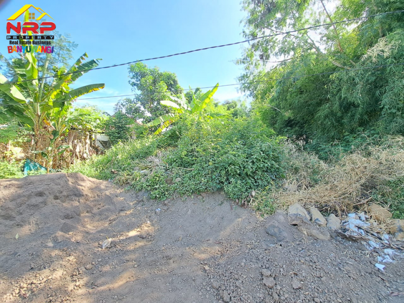 Dijual Tanah Kavling Strategis di Belakang Kantor BPN Banyuwangi  Dijual Tanah Kavling Strategis di Belakang Kantor BPN Banyuwangi  Dijual Tanah Kavling Strategis di Belakang Kantor BPN Banyuwangi&nbsp;
Dekat dengan fasilitas pendidikan dan perkantoran&nbsp;
Cocok untuk hunian, rumah kos, NRP BANYUWANGI