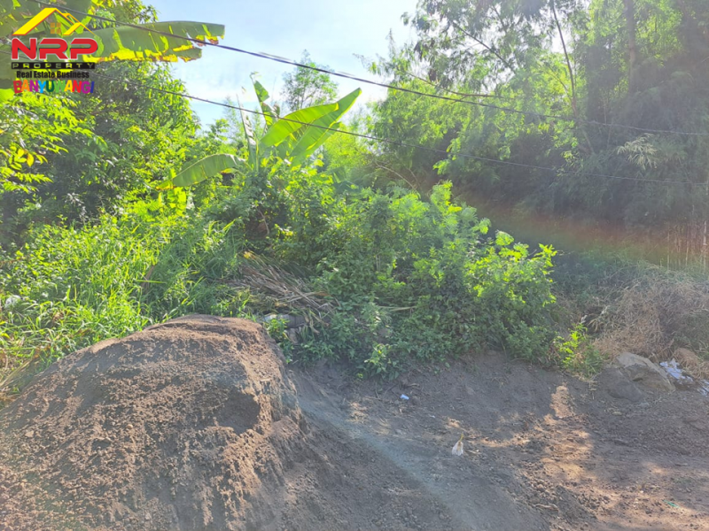 Dijual Tanah Kavling Strategis di Belakang Kantor BPN Banyuwangi  Dijual Tanah Kavling Strategis di Belakang Kantor BPN Banyuwangi  Dijual Tanah Kavling Strategis di Belakang Kantor BPN Banyuwangi&nbsp;
Dekat dengan fasilitas pendidikan dan perkantoran&nbsp;
Cocok untuk hunian, rumah kos, NRP BANYUWANGI