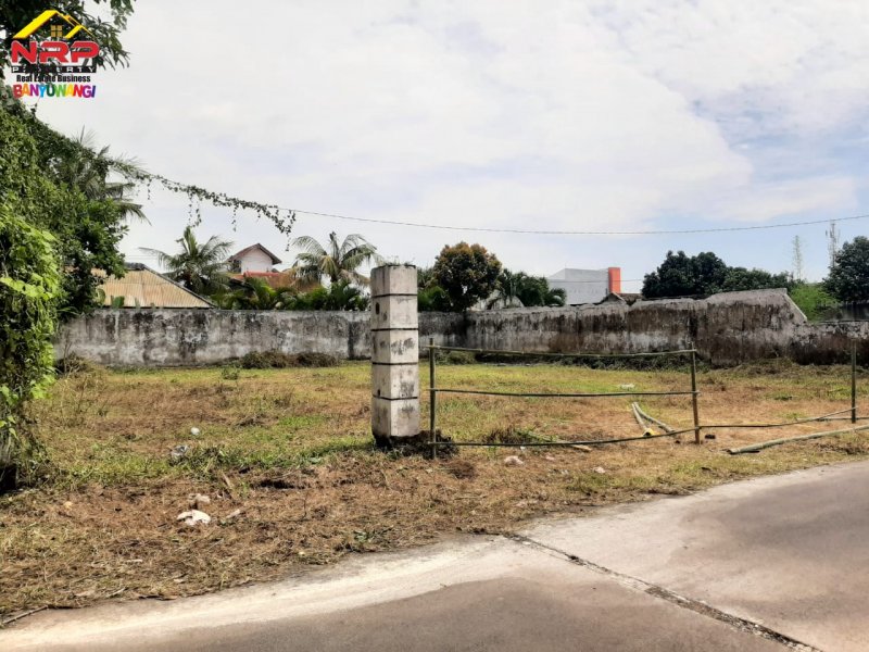 Dijual Tanah Kavling Strategis di Belakang Kantor Pemda Banyuwangi  Dijual Tanah Kavling Strategis di Belakang Kantor Pemda Banyuwangi  Dijual Tanah Kavling Strategis di Belakang Kantor Pemda Banyuwangi
Lokasi Barat Kantor Pemda, Sangat Cocok untuk Hunian,&nbsp; Kos Pegawai maupun Home Stay, NRP BANYUWANGI