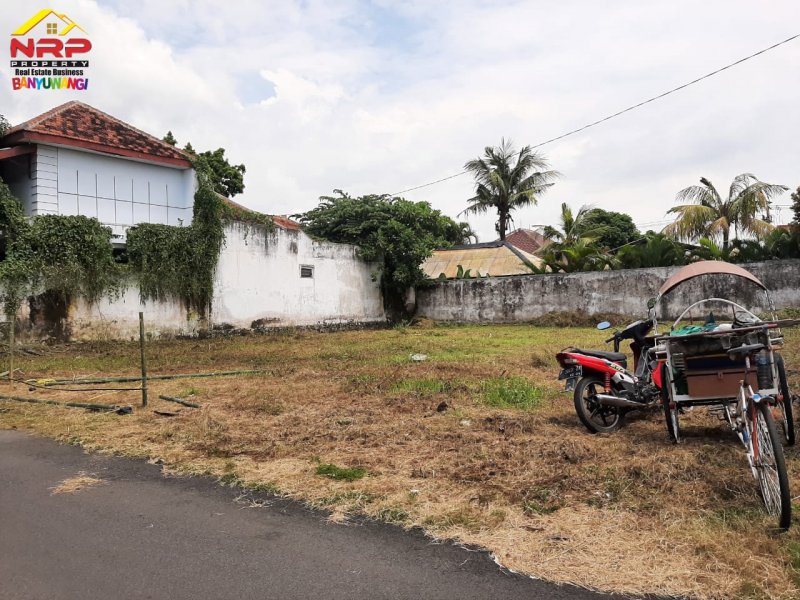 Dijual Tanah Kavling Strategis di Belakang Kantor Pemda Banyuwangi  Dijual Tanah Kavling Strategis di Belakang Kantor Pemda Banyuwangi  Dijual Tanah Kavling Strategis di Belakang Kantor Pemda Banyuwangi
Lokasi Barat Kantor Pemda, Sangat Cocok untuk Hunian,&nbsp; Kos Pegawai maupun Home Stay, NRP BANYUWANGI