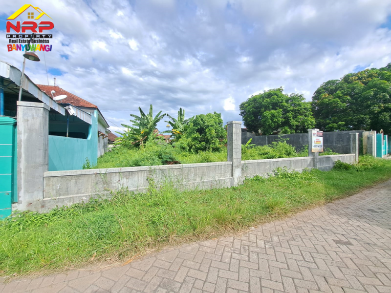 Dijual Tanah Kavling Strategis Di Belakang RS. Yasmin - Banyuwangi  Dijual Tanah Kavling Strategis Di Belakang RS. Yasmin - Banyuwangi  Dijual Tanah Kavling Strategis Di Belakang RS. Yasmin - Banyuwangi&nbsp;
Lokasi Strategis Cocok Untuk Investasi, dibangun Rumah Kos, Home Stay, Rumah&nbsp; NRP BANYUWANGI