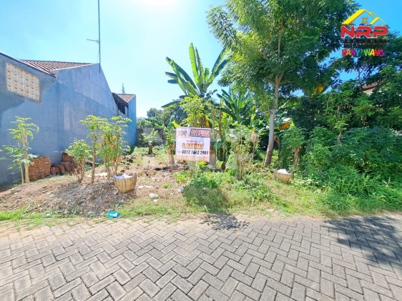 Dijual Tanah Kavling Strategis di Depan MAN Banyuwangi  Dijual Tanah Kavling Strategis di Depan MAN Banyuwangi  Dijual Tanah Kavling Strategis di Depan MAN Banyuwangi&nbsp;
Cocok untuk Kos - Kosan, Homestay, ruang usaha lainnya.Sangat cocok untuk investasi pasive NRP BANYUWANGI