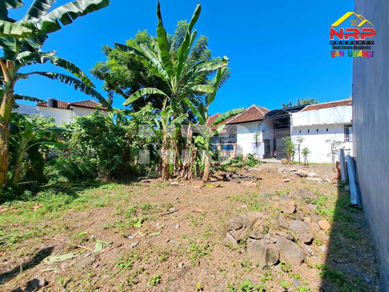 Dijual Tanah Kavling Strategis di Depan MAN Banyuwangi  Dijual Tanah Kavling Strategis di Depan MAN Banyuwangi  Dijual Tanah Kavling Strategis di Depan MAN Banyuwangi&nbsp;
Cocok untuk Kos - Kosan, Homestay, ruang usaha lainnya.Sangat cocok untuk investasi pasive NRP BANYUWANGI