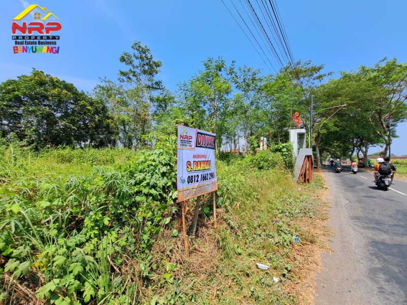 Dijual Tanah Kavling Strategis di Jl. Karangbendo Arah Bandara Banyuwangi Dijual Tanah Kavling Strategis di Jl. Karangbendo Arah Bandara Banyuwangi Dijual Tanah Kavling Strategis di Jl. Karangbendo Arah Bandara Banyuwangi. Lokasi Sangat Cocok Untuk Investasi, dibangun Rumah Kos, Pertokoan, Maupun Ruang NRP BANYUWANGI