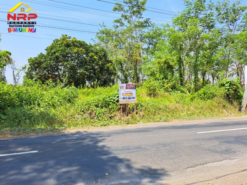 Dijual Tanah Kavling Strategis di Jl. Karangbendo Arah Bandara Banyuwangi Dijual Tanah Kavling Strategis di Jl. Karangbendo Arah Bandara Banyuwangi Dijual Tanah Kavling Strategis di Jl. Karangbendo Arah Bandara Banyuwangi. Lokasi Sangat Cocok Untuk Investasi, dibangun Rumah Kos, Pertokoan, Maupun Ruang NRP BANYUWANGI