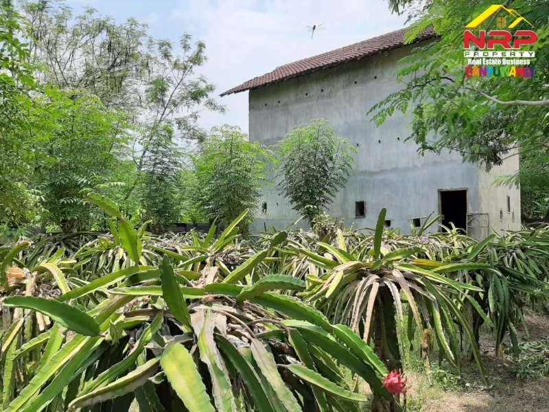 Dijual Tanah Kavling Strategis Di Lingkungan RSUD Blambangan, RS. Yasmin dan STIKES Banyuwangi Dijual Tanah Kavling Strategis Di Lingkungan RSUD Blambangan, RS. Yasmin dan STIKES Banyuwangi Dijual Tanah Kavling Strategis Di Lingkungan RSUD Blambangan, RS. Yasmin dan STIKES Banyuwangi
Lokasi Strategis Cocok Untuk Investasi, dibangun Rumah Kos, NRP BANYUWANGI