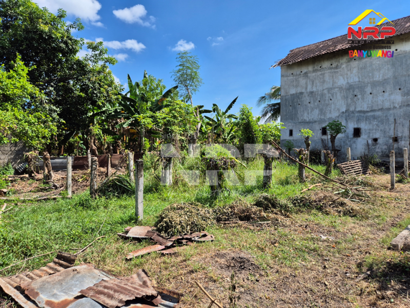 Dijual Tanah Kavling Strategis Di Lingkungan RSUD Blambangan, RS. Yasmin dan STIKES Banyuwangi Dijual Tanah Kavling Strategis Di Lingkungan RSUD Blambangan, RS. Yasmin dan STIKES Banyuwangi Dijual Tanah Kavling Strategis Di Lingkungan RSUD Blambangan, RS. Yasmin dan STIKES Banyuwangi
Lokasi Strategis Cocok Untuk Investasi, dibangun Rumah Kos, NRP BANYUWANGI