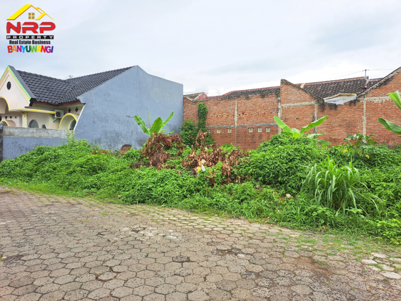 Dijual Tanah Kavling Strategis di Sobo, Banyuwangi  Dijual Tanah Kavling Murah di Sobo Banyuwangi  Dijual Tanah Kavling Strategis di Belakang Santika Hotel Banyuwangi&nbsp;
Berada di Pusat Kota Banyuwangi.Cocok untuk hunian, homestay, dll&nbsp;
Dekat NRP BANYUWANGI